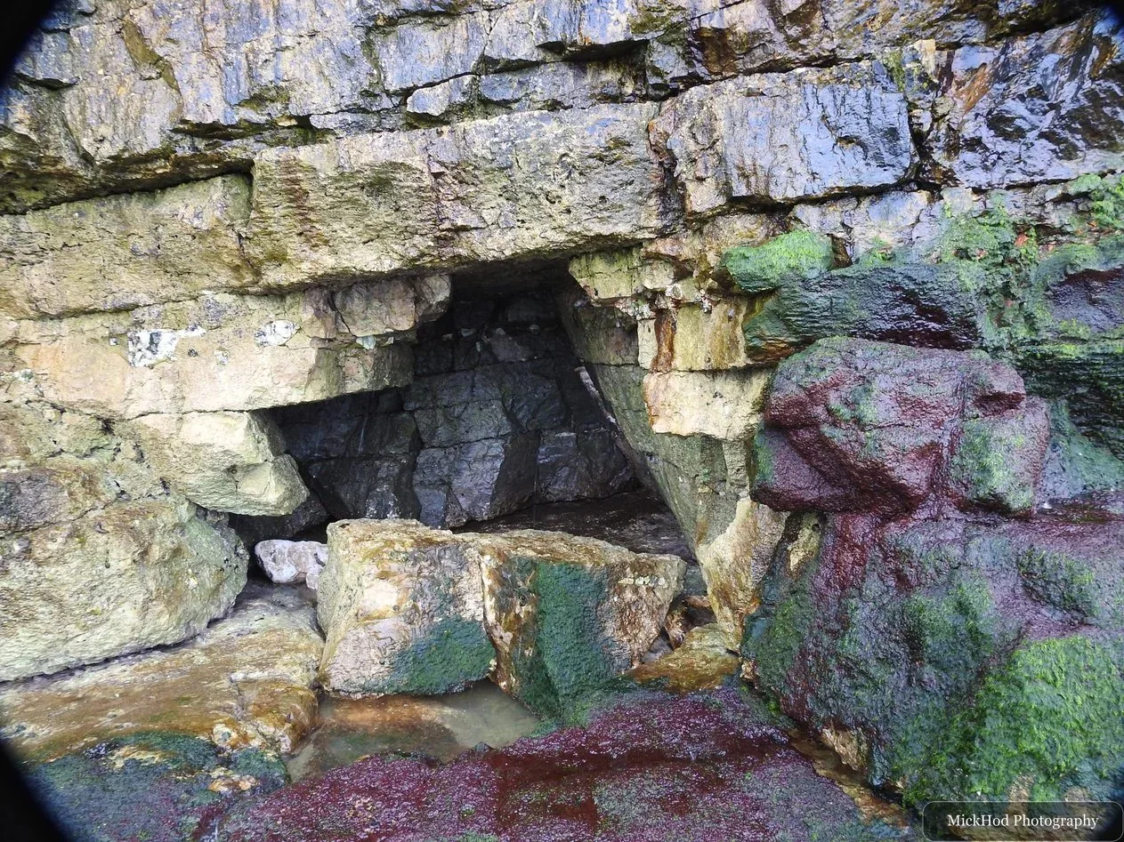 Nature photograph 2