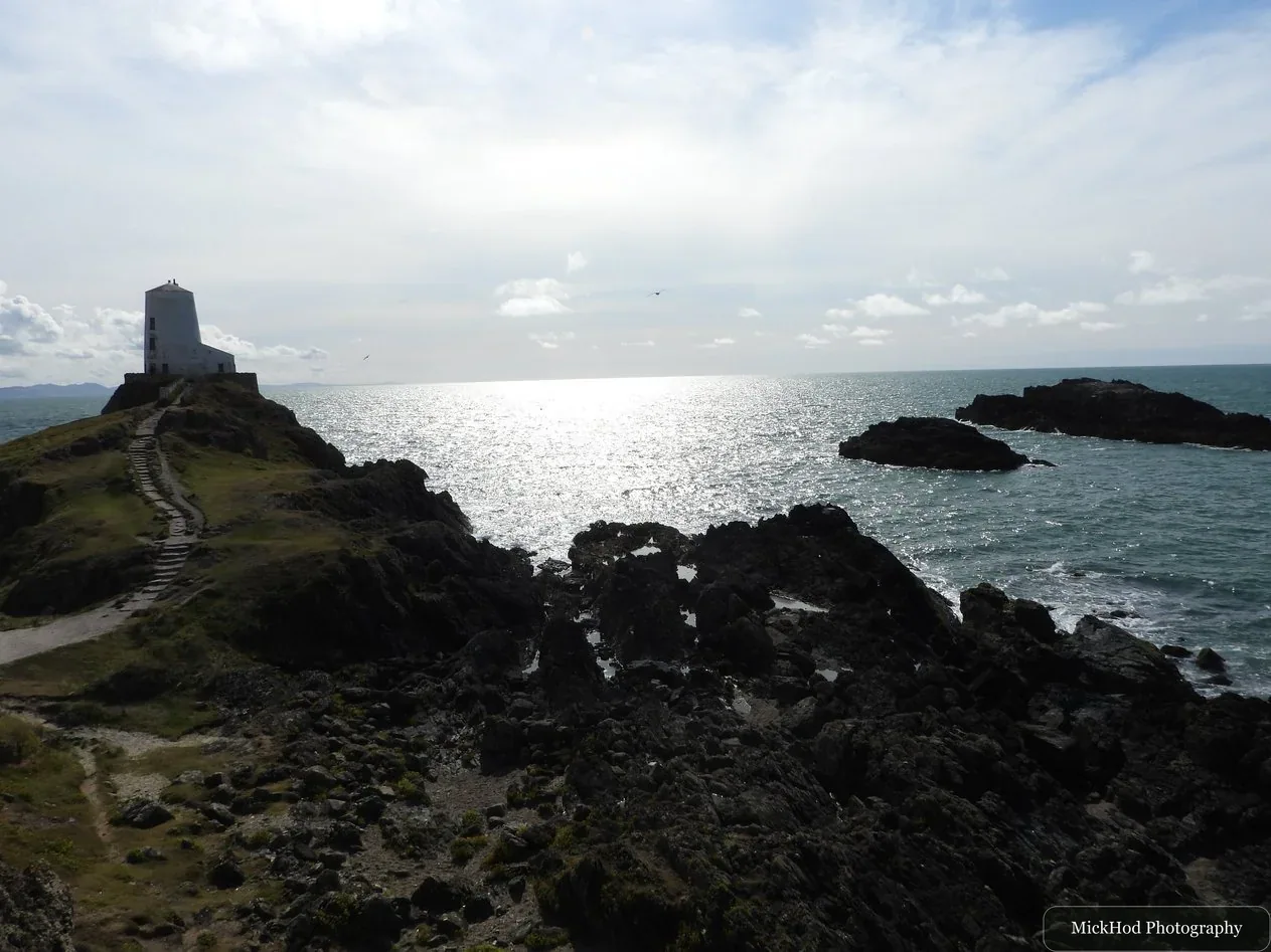 Nature photograph 3