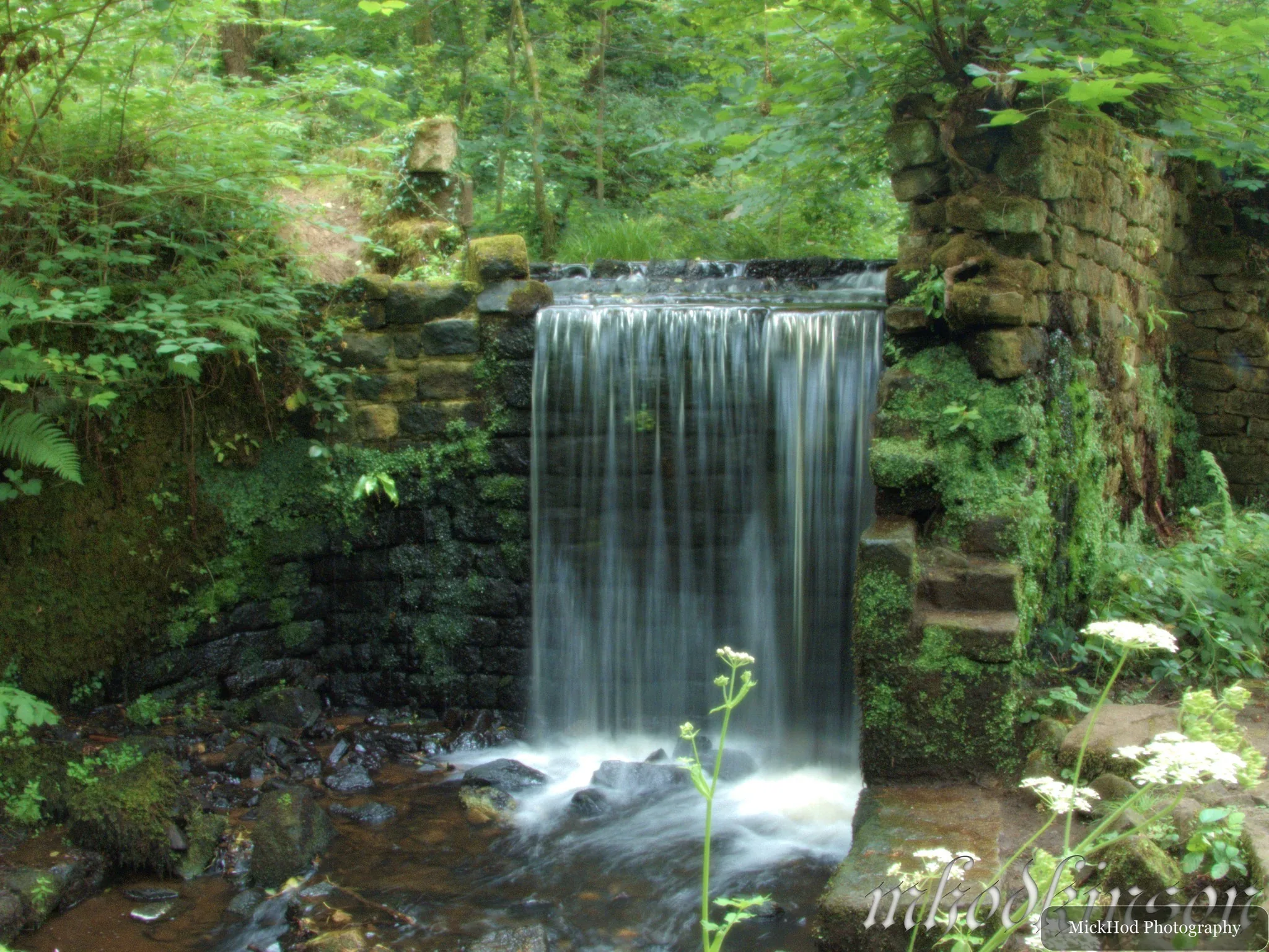 Nature photograph 4