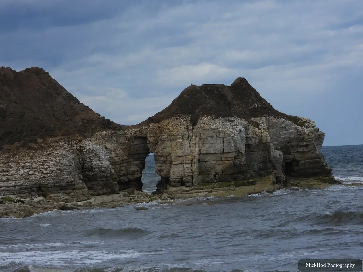 Nature photograph 5